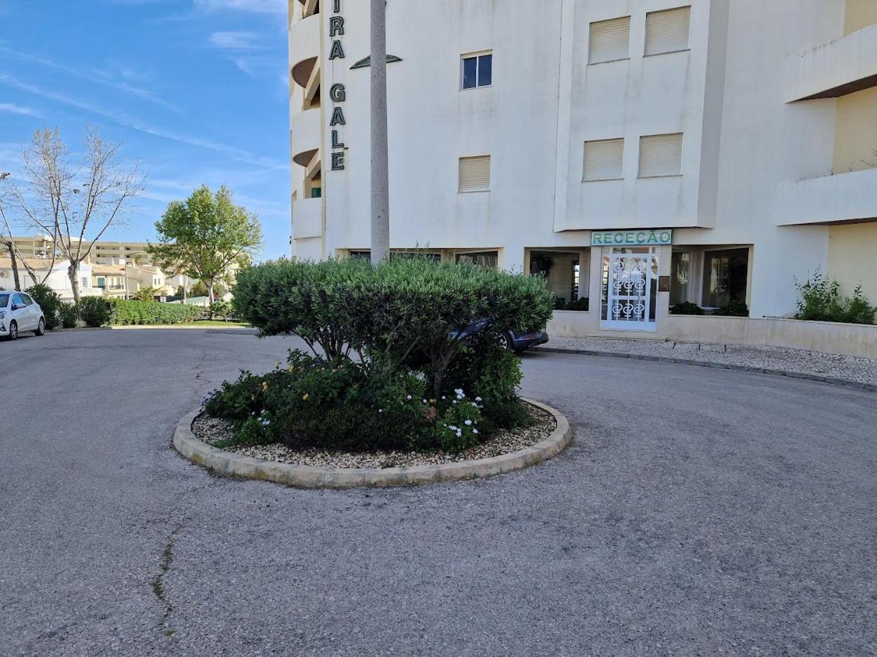 Apartamento T2 Palmeira Gale-Praia Da Gale Гия Екстериор снимка